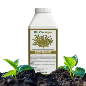Bio Vital Algae